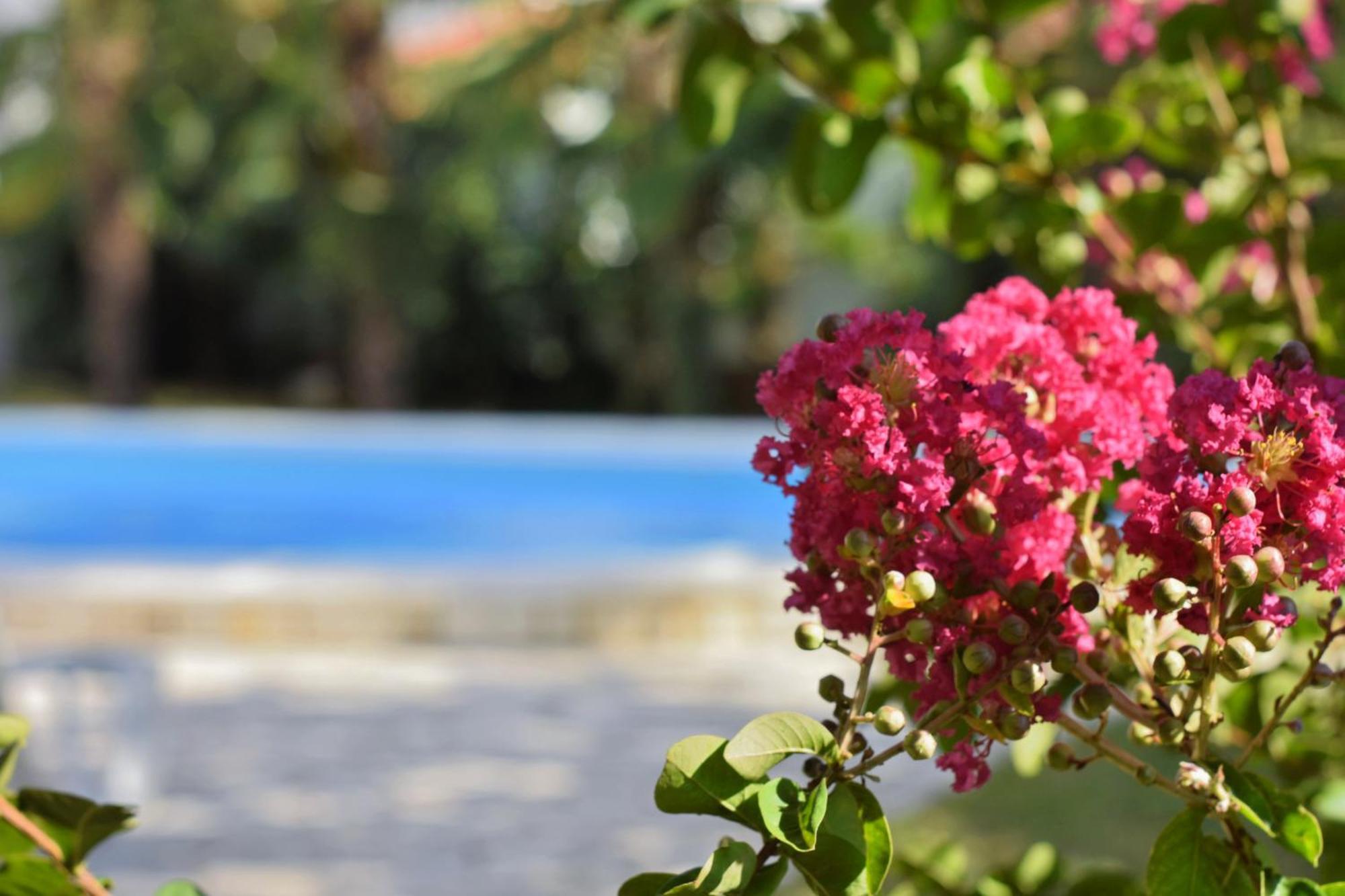 Apartments Vila Marinela 波雷奇 客房 照片